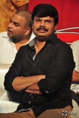 Sarrainodu Movie Blockbuster Function